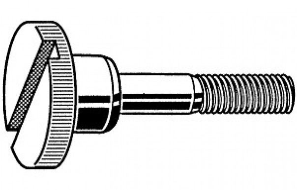 DIN464 SZ Slotted knurled thumb screws with collar TYPE SZ 開(kāi)槽滾花螺釘